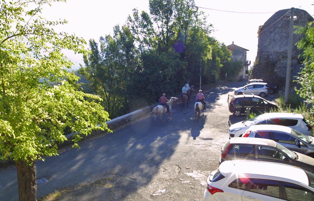 Villa Forni Rosaia Olivola  Exterior foto